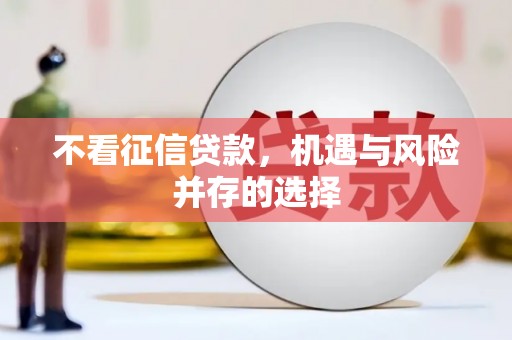 茂林不看征信贷款，机遇与风险并存的选择
