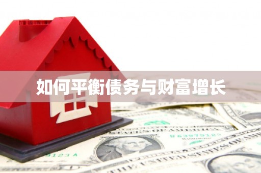 茂林如何平衡债务与财富增长