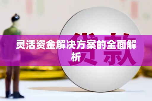 茂林灵活资金解决方案的全面解析