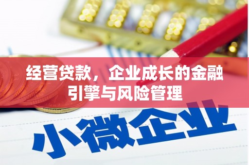 茂林经营贷款，企业成长的金融引擎与风险管理