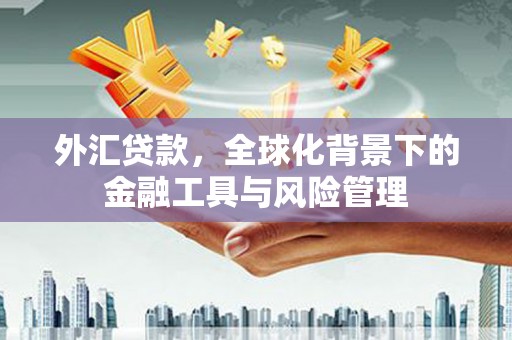 茂林外汇贷款，全球化背景下的金融工具与风险管理