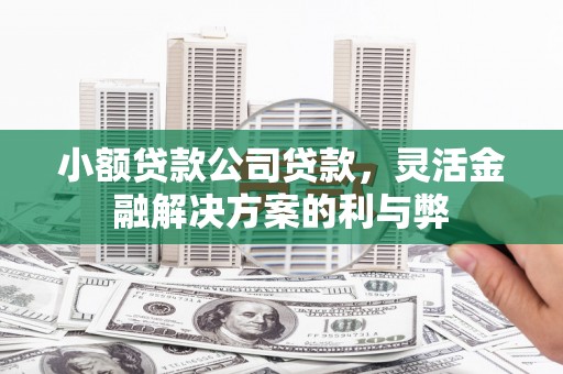 茂林小额贷款公司贷款，灵活金融解决方案的利与弊